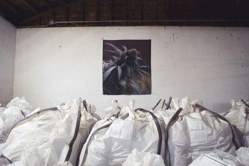 ServiceMeister GmbH - Image 6